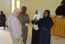 جامعة شندي - كلية الهندسة والعمارة - Shendi University - Faculty of Engineering